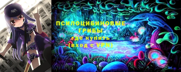 ALPHA-PVP Лабытнанги
