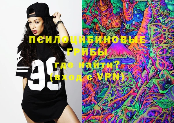 шишки Новый Уренгой